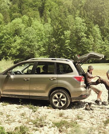 BRAND_PHOTOGRAPHY_SUMMER16_FORESTER_GRADE A_3221_300_CMYK HR